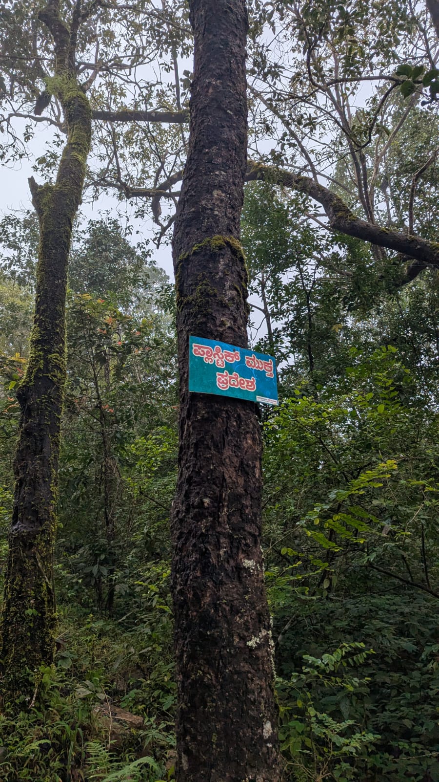 Netravati Weekend Trek from Bangalore gallery photo 16